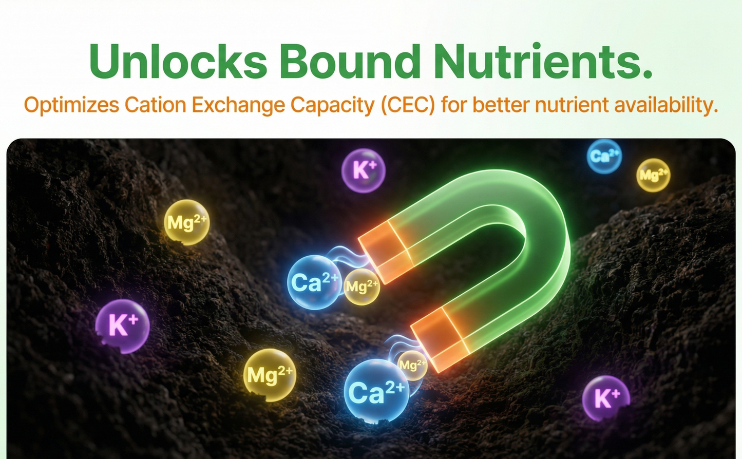 Organic Liquid Humic Acid